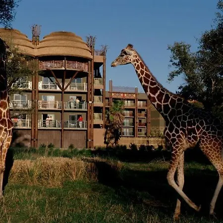 Disney'S Animal Kingdom Lodge-2